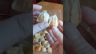 CIPLUKAN JUMBO#shorts #youtubeshorts