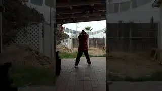 Kung Fu- Sarm Bo Jin -Chow Gar Southern Praying Mantis