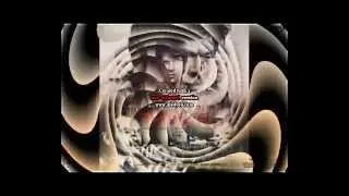 SHARUKH KHAN RAEES MOVIE TRAILER  LAUNCH