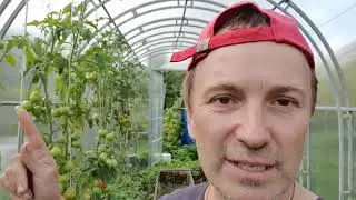 Дневник дачника часть 27