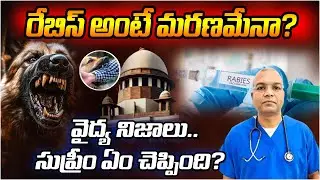 రేబిస్ అంటే మరణమేనా? వైద్య నిజాలు..సుప్రీం ఏం చెప్పింది? Supreme Court | rabies | massvoice |