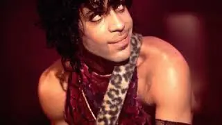 Episode 5: Top solo artists, part 2