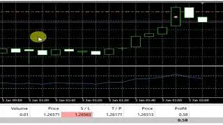 Trailing Stop Loss Shorts