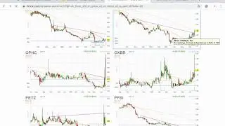 Find The Next Low Float Runner(s)
