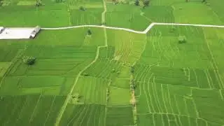 REDUCED PRICE Rice Paddy View Land for Sale