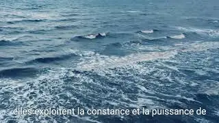Jour 53 sur 90. Hydrolienne. Marcus.