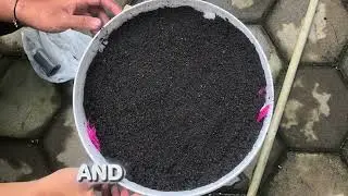 &ldquo;Development of an Eco-Friendly Water Filtration System Using Recycled Materials to Support SDG 6 