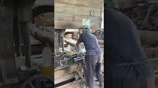 Achieving Mastery in Precision Cutting and Wood Processing Insights from Expert Sawmill Operators