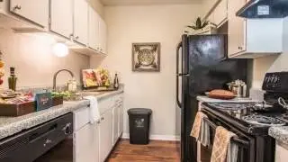 Spring Shadows Apartments in Houston, TX - ForRent.com