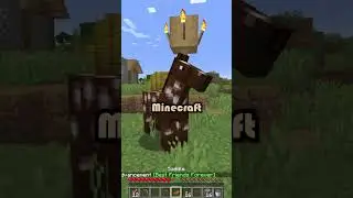 🐎 Taming Horses in Minecraft 🐴