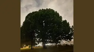 Arriba de 100