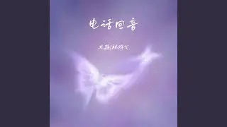 电话回音