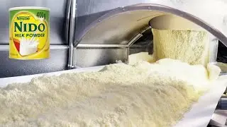 Inside a High-Tech Factory of Powdered Milk | Step-by-Step Process of  Milk Powder Production