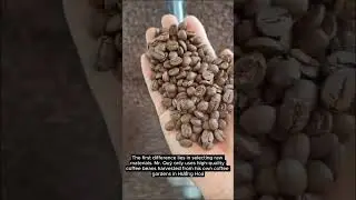EWEC - Q. Coffee: A Renowned Coffee Roasting Brand