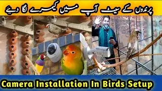 Camera Installation In My Birds Setup | Java  | Zebra Finch | Cocktail | Dove | Gouldian Finch |