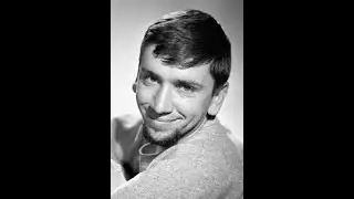 Fractured Flickers BOB DENVER