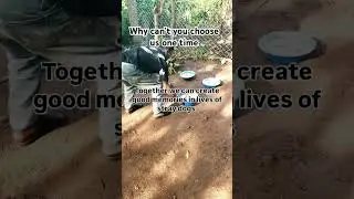#please donate in bio #donate1$ #donate5$ #donate10$ #donate100$ to save their lives please help me