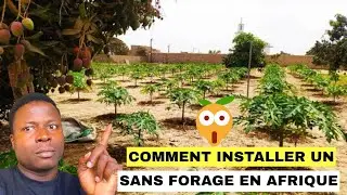 Comment installer un verger sans forage en Afrique ?