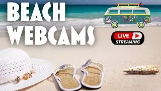 🌴🌊 LIVE Beach Webcams 01.15.2026 | 24/7 Beaches From Around the World 🌊🌴