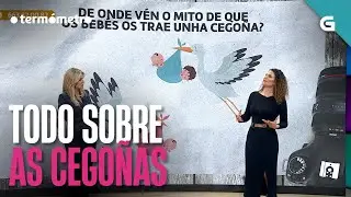 TODO SOBRE AS CEGOÑAS! | O TERMÓMETO