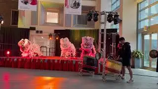 ALANA Culture Fest | Cornell Lion Dance