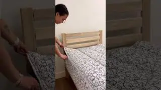 Every Kid Needs This Bedding! Dog Zipper Bedding! (Nod and Winks by Beddy's)