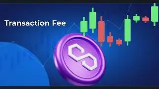 💠 Why You Need Polygon Tokens in the Veelife Metaverse 💠