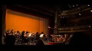 Franz Schubert - Symphony No. 4 in C-minor, D. 417, 