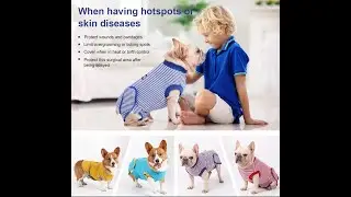 EMUST Dog Recovery Suit, Alternative Bandages Professional Dog Onesie for Surgery Abdominal Wounds