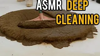 Extreme ASMR Rug Cleaning | From Mud Disaster to Fluffy Perfection!