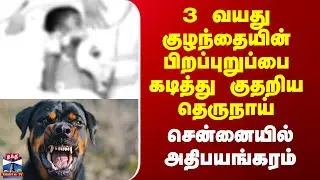 Chennai Dog Bite | 3 வயது குழந்தையின் பிறப்புறுப்பை கடித்து குதறிய தெருநாய் - சென்னையில் அதிபயங்கரம்