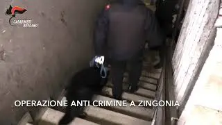 Operazione anticrimine a Zingonia