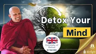 Detox your mind [Oxford University ]