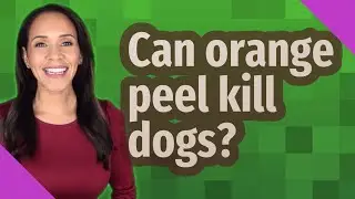 Can orange peel kill dogs?