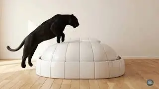Rare Fantasy Beds for Deep Sleep and Instant Calm ASMR