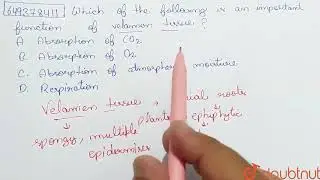 Which of the following is an important function of velamen tissue ?  | CLASS 12 | CUET MOCK TEST...