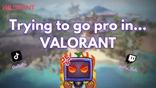 BAGUETTE VALORANT SCRIM