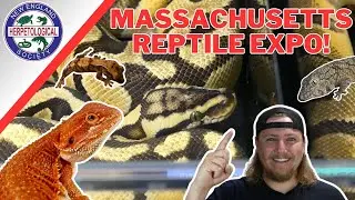AWESOME REPTILE EXPO-The Massachusetts Reptile Expo!