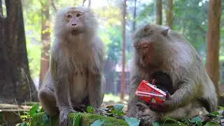 Mama Teresa Sit Looking Her Daughter Brianna Carry her Bb Sip Milk on Feb16,2025/Vs.4919 Ambers