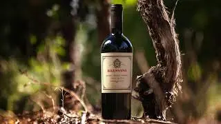 Falasco Wines - Introducing Bressano Malbec