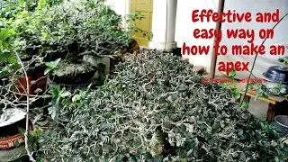 HOW TO MAKE AN APEX / PAANO GUMAWA NG APEX / EFFECTIVE AND EASY WAY ON HOW TO MAKE AN APEX