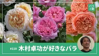 #110 木村卓功が好きなバラ