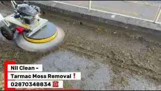 Westermann moss removal - NII Clean