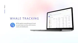 NFTGo New Function &mdash;&mdash; Whale Tracking #NFT #Analytics
