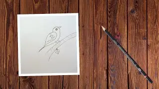 Simple Bird Pencil Drawing | Easy Bird Sketch for Beginners | Step by Step