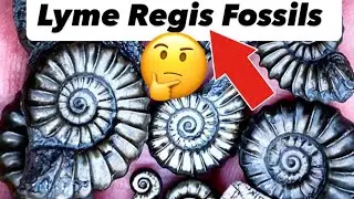 Rock Breaking Surprise Finds⁉️🤔