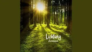 Lichtung