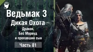 The Witcher 3: Wild Hunt Passage # 81, Dragon, Demon and Morwood lost son