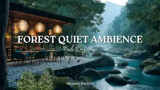 Riverside Coffee Shop Jazz ☕🍃 Relaxing Forest Music to Start a Positive & Calming Morning