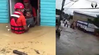 Caribbean Disaster Relief Project - Puerto Rico